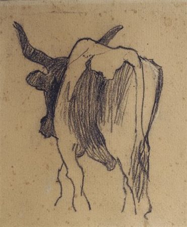 Mario Puccini (Livorno, 1869 - Firenze, 1920) BOVE Carboncino su carta, cm....