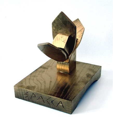 Roberto Spaccapaniccia 1979, San Benedetto del Tronto (Ap) - [Italia]...