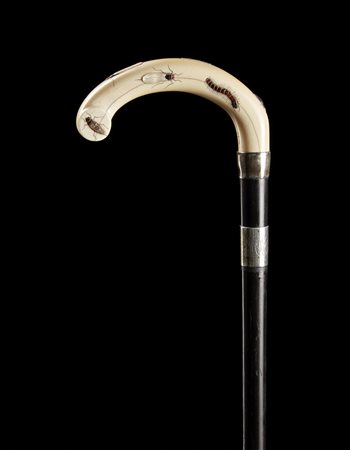 Bastone con presa Shibayama in avorio sagomato. Giappone, fine sec. XIX....