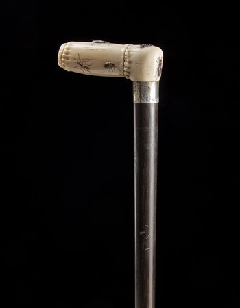 Bastone con presa Shibayama in avorio intagliato e inciso a insetti....