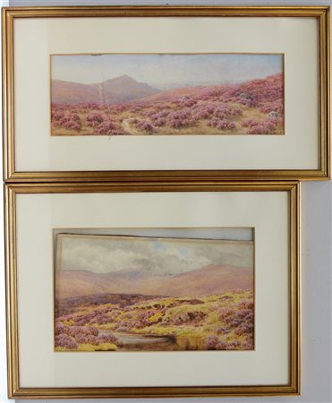 Lotto di due acquerelli raffiguranti paesaggi fioriti, misure differenti, in...