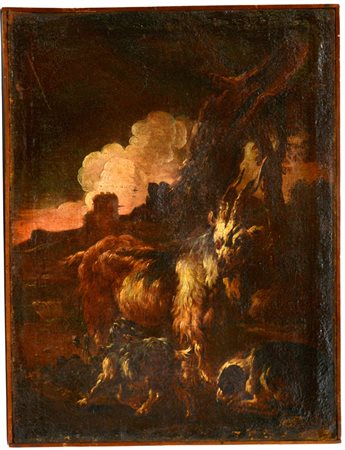 Scuola del secolo XVII "Caprone", olio su tela (cm 74x56) Sul retro vecchia...