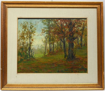 Comolli Gigi (Milano 1893 - 1976) "Paesaggio boschivo", olio su masonite (cm...