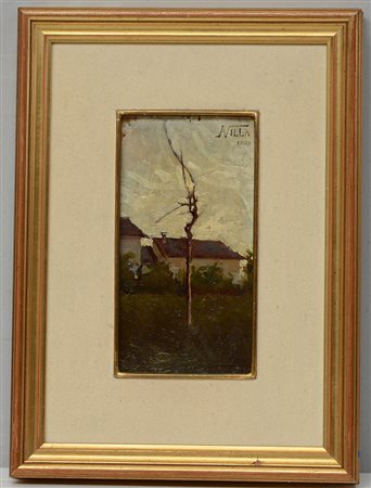 Aleardo Villa (Ravello 1865 - Milano 1906) "Paesaggio con albero", olio su...
