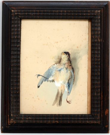 Scuola del secolo XIX, "Passero", acquerello e biacca su cartoncino (cm...