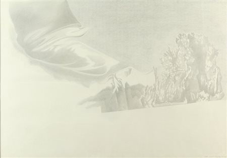 RADU DRAGOMIRESCU (1944-) Senza titolo 1982matita su carta cm 70x100 firmato...