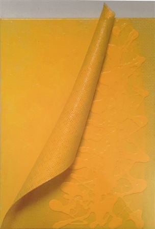 Antonio Baccarin Cavarzere 1954 Senza titolo 2004 Fibra di vetro su tela...