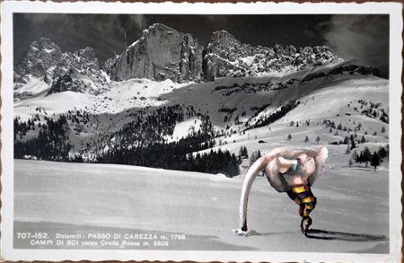 Annalisa Lenzi Trento 1982 the strange animal 2013 acrilico su fotocartolina...