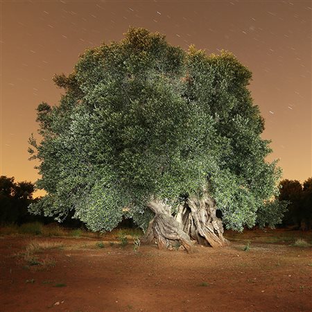 PASQUALE LADOGANA Castellana Grotte 1959 " Amore " 2016 fotografia su carta...