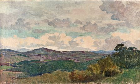 Paesaggio collinare, olio su tela, cm 30x51 firmato in basso a sinistra C....