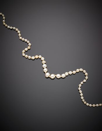 Collana di perle bianche, il 25% circa naturali di acqua salata, a scalare da...
