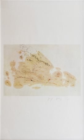 Joseph Beuys (Krefeld 1921 - Düsseldorf 1986) Coniglio, 1978;Coniglio, 1978...