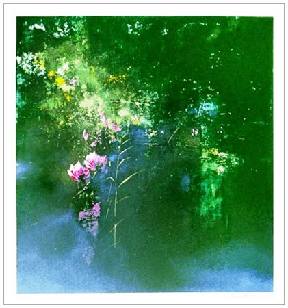 ANTONIO PEDRETTI Gavirate 1950 Senza titolo (Fiori di Palude) 1994 Serigrafia...