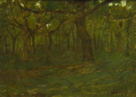 FRAGIACOMO PIETRO TRIESTE 1856 VENEZIA 1922 BOSCO, 1910 OLIO SU CARTONE cm 14...