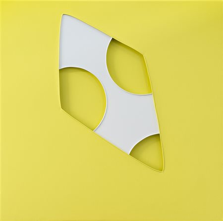 DALILA CROTTI (1983) Not Is Paolo 1006, 2005 Tecnica mista e pelli su tavola...