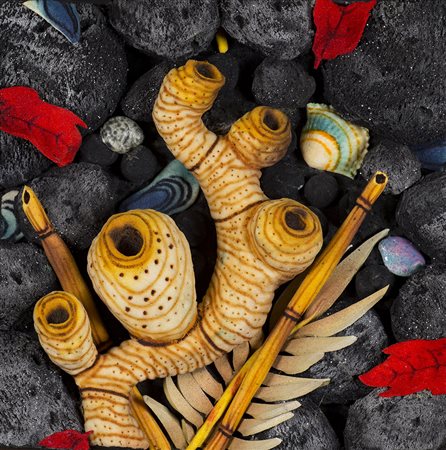 PIERO GILARDI (1942) Rizoma Canaria, '00 Poliuretano espanso cm 30x30x15...