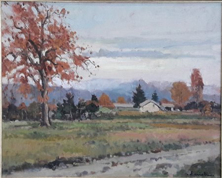 Francesco Cerioli "Campagna a Campiglione" - Olio su cartone rigido - cm...