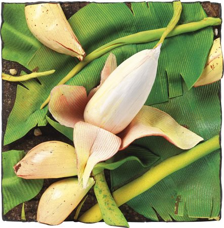 Piero Gilardi, Torino 1942, Fiore di banano, 1993, Poliuretano espanso...