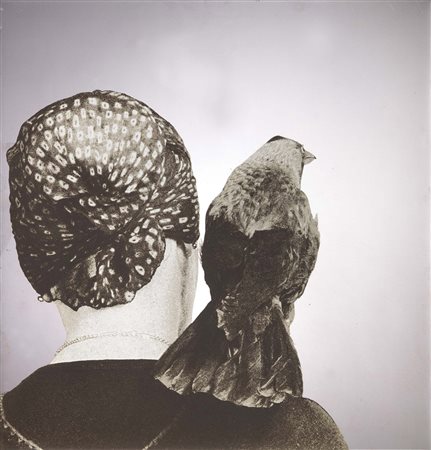 Michelangelo Pistoletto, Biella 1933, Testa con gazza, 1982, Serigrafia su...