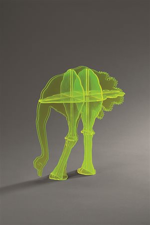 GINO MAROTTA (1935 - 2012) Struzzo, S.d., anni '70 Metacrilato colorato 30 x...