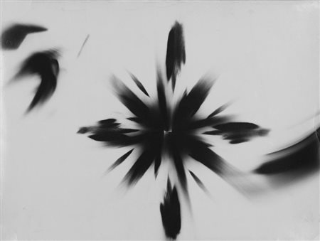 PAOLO MONTI (1908 - 1982) Senza titolo Anni '60 Chimigramma 30 x 39,5 cm...