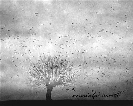 MARIO GIACOMELLI (1925 - 2000) Senza titolo Stampa in bianconero ai sali...