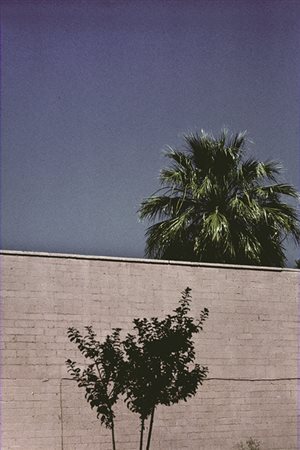 FRANCO FONTANA (1933) Phoenix 1979 C-print 60,5 x 40 cm Titolata, datata e...