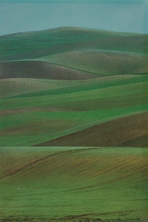 FRANCO FONTANA (1933) Paesaggio 1981 C-print 30 x 45 cm Titolata, firmata e...