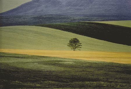 FRANCO FONTANA (1933) Paesaggio 1978 C-print 48,5 x 60,5 cm Titolata, datata...
