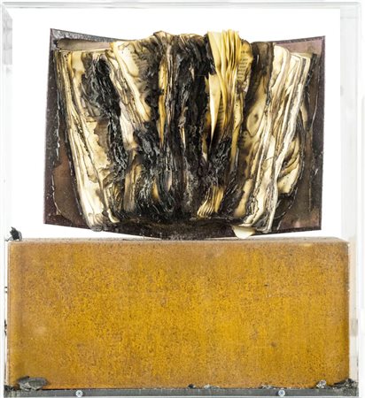 Bernard Aubertin ( Fotenay aux Roses 1934 2015 ) Livre Brulé 2012 Libro...