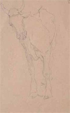 Giovanni Fattori Livorno 1825 - Firenze 1908 STUDIO DI BOVINO matita su...