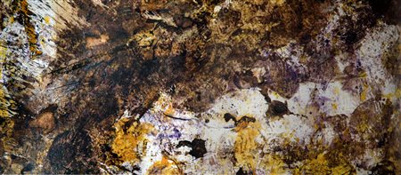 ERMANN NITSCH OLIO SU CARTA INTELATA SU LEGNO 2016 54X142,5 autentica...