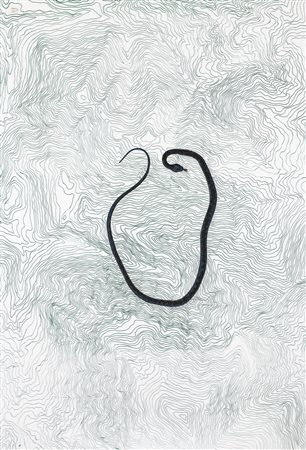 MARIO AIR&Ograve; (1961) Liru, 1994 Plexiglass serigrafato e gomma cm 135x94...