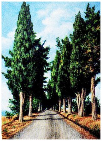 FIDIO BARTALINI L'opera è stata donata dall'artista all’Associazione “Un...