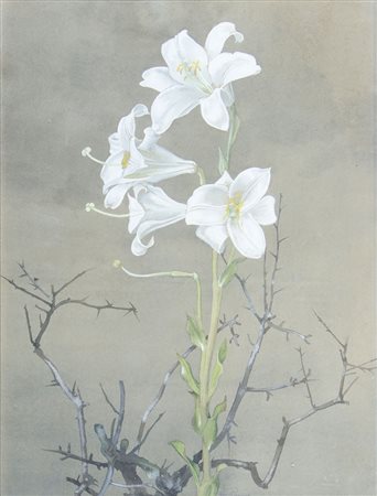 Edmondo Passauro 1893-1969 "Fiore sbocciato" cm. 40x28 - acquerello su carta...