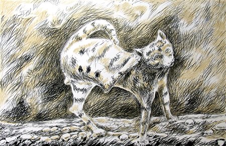 Pericle Fazzini 1913, Grottammare (Ap) - 1987, Roma (Rm) - [Italia] Gatto...