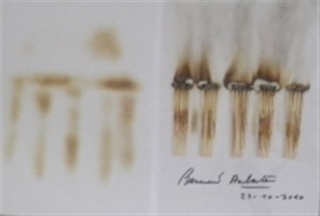 AUBERTIN BERNARD FRANCIA 1934 IL FUOCO E IL ROSSO, 2010 FIAMMIFERI BRUCIATI...