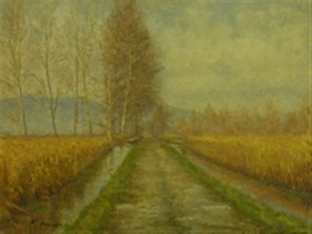 MENICOCCI ALESSIO SENZA TITOLO OLIO SU TELA cm 30 x 40 Firma in basso a sinistra