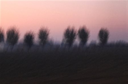 GUICCIARDI FILIPPO MODENA 1985 SERIE 42, ORIGINE, 2012 FOTOGRAFIA cm 30 x 45...