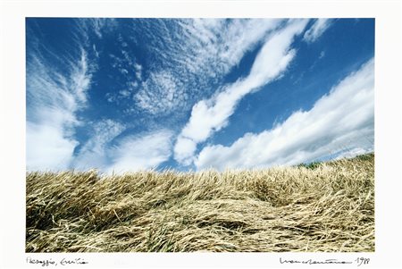 FRANCO FONTANA (1933-) Paesaggio, Emilia 1988 stampa a colori 30x45 cm...