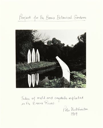 HUTCHINSON PETER (1930-) Project for the Bronx Botanical Gardens 1969 stampa...