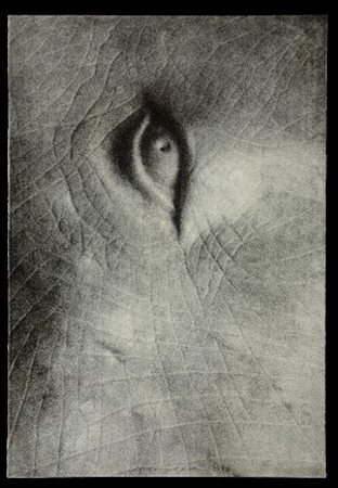 Omar Galliani (Montecchio Emilia 1954) UN RESPIRO DI NOVE SECONDI - OCCHIO,...