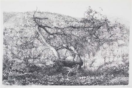 BARBISAN GIOVANNI Treviso 1914 - 1988 Castagneto aquaforte es. 74/75 Misure:...