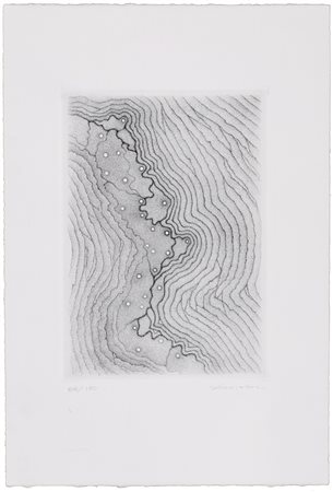 GIULIA NAPOLEONE (1936) Senza Titolo Acquaforte Lastra cm 30,5x21,5 Foglio cm...