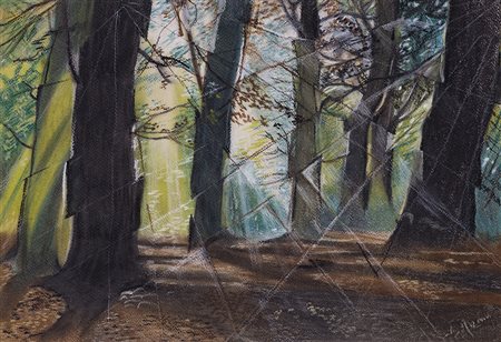 GIOVANNI AVANO Senza Titolo Pastelli su cartoncino cm 34x49 Firma al fronte