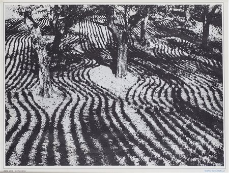 MARIO GIACOMELLI (1925-2000) Senza Titolo Stampa in bianco e nero su carta...