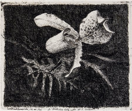 Lino Bianchi Barriviera,&nbsp;Lotto composto di 2 acqueforti. 1) L'orchidea...