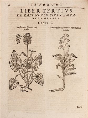 Bauhin Gaspard,&nbsp;Prodromos theatri botanici in quo plantae supra...