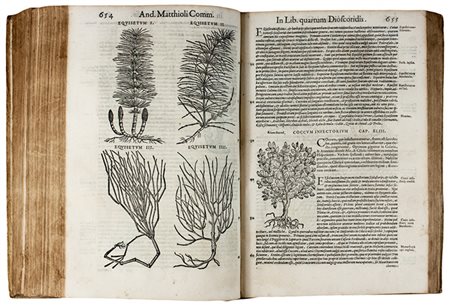 Mattioli Pietro Andrea,&nbsp;Commentarii in sex libros Pedacii Dioscoridis...