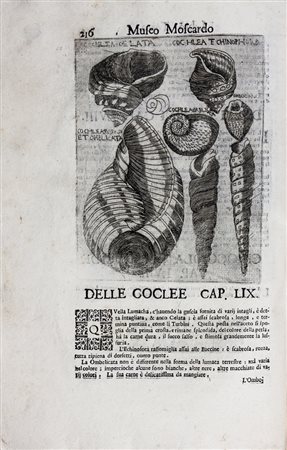 Moscardo Lodovico,&nbsp;Note overo Memorie del Museo di Lodovico Moscardo...